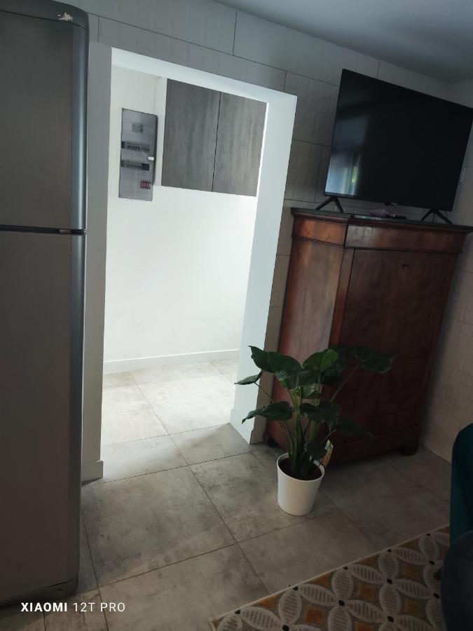 Appartement Renovee Dans Maison Ancienne Amancy Buitenkant foto